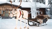 Zimní Helsinky a Polární Kruh - vlakem i s psím spřežením