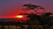 Safari v Tanzanii - To nejlepší ze severní Tanzánie s českým průvodcem