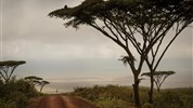 Safari a odpočinek na Zanzibaru s českým průvodcem - Tanzanie_Ngorongoro