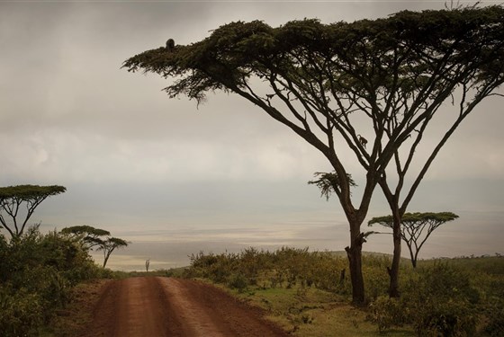 Marco Polo - "Kráter" Ngorongoro - chráněné území - informace