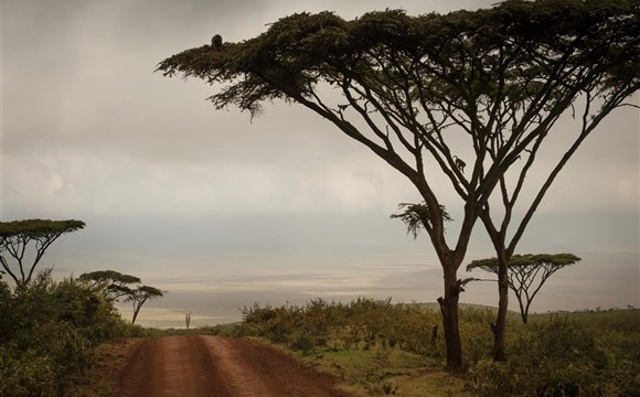 Marco Polo - "Kráter" Ngorongoro - chráněné území - informace