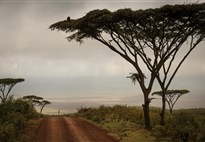 Tanzanie_Ngorongoro