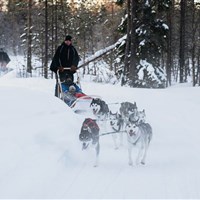 Apukka Resort - ckmarcopolo.cz