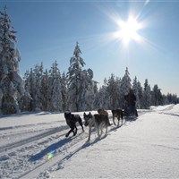 Apukka Resort - ckmarcopolo.cz