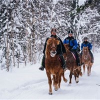 Apukka Resort - ckmarcopolo.cz