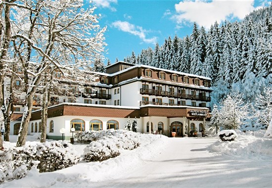 Alpenhotel Weitlanbrunn W22 - Rakousko