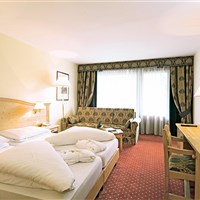 Hotel Alpenhof (W) - ckmarcopolo.cz