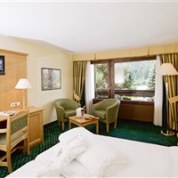 Hotel Alpenhof (W) - ckmarcopolo.cz