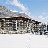 Hotel Alpenhof (W) - ckmarcopolo.cz