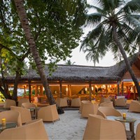 Kuramathi Island Resort - bar Fungi - ckmarcopolo.cz