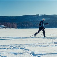 Landal Marina Lipno (zima) - ckmarcopolo.cz