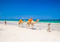 Diani Sea Lodge. Dovolená v Keni na Diani Beach.