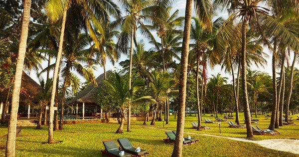 30+ Spa Village Resort Tembok All Inclusive Pics