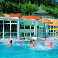 Hanneshof Resort - ckmarcopolo.cz