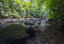 Kostarika jako na dlani - s českým průvodcem