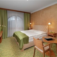 Wellness Hotel Windsor - zima - ckmarcopolo.cz