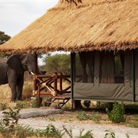 Simba Lodge Tarangire - ckmarcopolo.cz