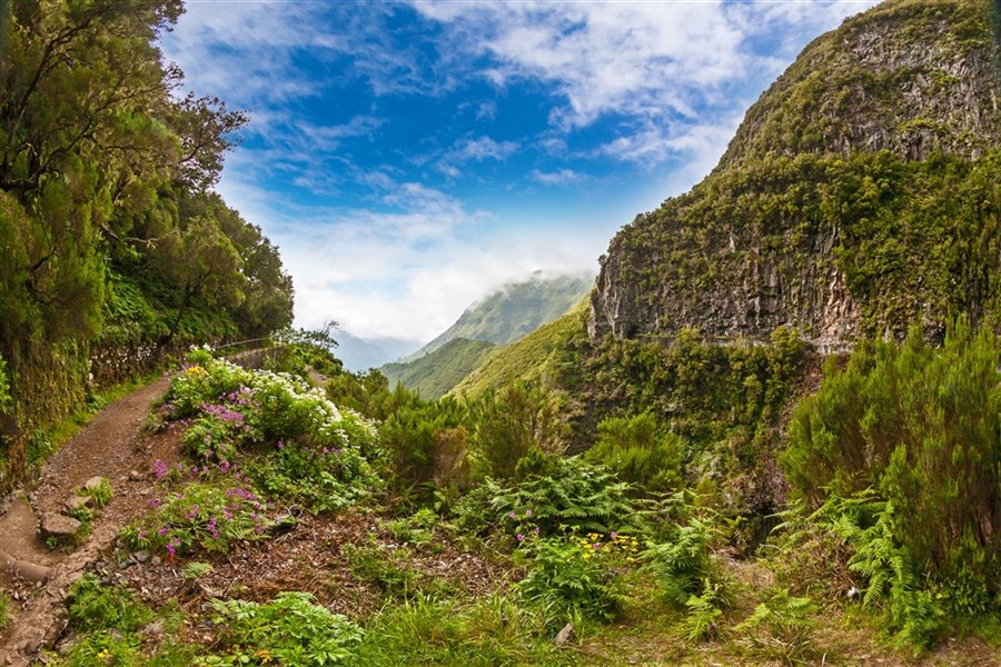 Madeira s českým průvodcem - kombinace výletů a odpočinku