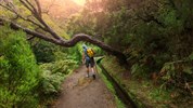Madeira s českým průvodcem - kombinace výletů a odpočinku