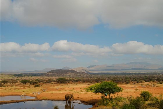 Marco Polo - Kilaguni Serena Lodge - 