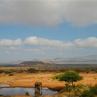 Kilaguni Serena Lodge - ckmarcopolo.cz