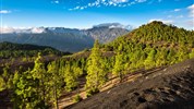 Za krásami Kanárských ostrovů s průvodcem: Tenerife-La Palma-La Gomera - Ostrov La Palma. CK Marco Polo: Za krásami Kanárských ostrovů s průvodcem.