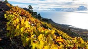 Za krásami Kanárských ostrovů s průvodcem: Tenerife-La Palma-La Gomera - Ostrov La Palma. CK Marco Polo: Za krásami Kanárských ostrovů s průvodcem.