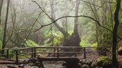 Za krásami Kanárských ostrovů s průvodcem: Tenerife-La Palma-La Gomera - Ostrov La Gomera. CK Marco Polo: Za krásami Kanárských ostrovů s průvodcem.