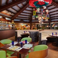 Divi Aruba All Inclusive Resort - ckmarcopolo.cz
