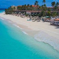 Divi Aruba All Inclusive Resort - ckmarcopolo.cz