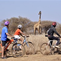 Satao Elerai Camp Amboseli - ckmarcopolo.cz