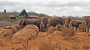 Silvestr v Keni - safari a pobyt u moře