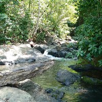 Casa Corcovado Jungle Lodge - ckmarcopolo.cz