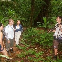 Casa Corcovado Jungle Lodge - ckmarcopolo.cz