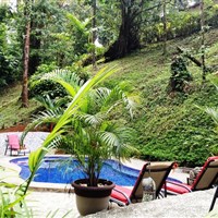 Casa Corcovado Jungle Lodge - ckmarcopolo.cz