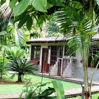 Casa Corcovado Jungle Lodge - ckmarcopolo.cz