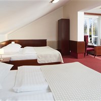 Wellness Hotel Svornost - zima - ckmarcopolo.cz