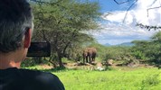 Vlakem na safari - Tsavo West - Severin Safari Camp 4* - 3 noci