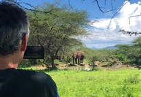 Tři národní parky - tři odlišné tváře safari  (Amboseli, Tsavo West a Tsavo East) - český průvodce