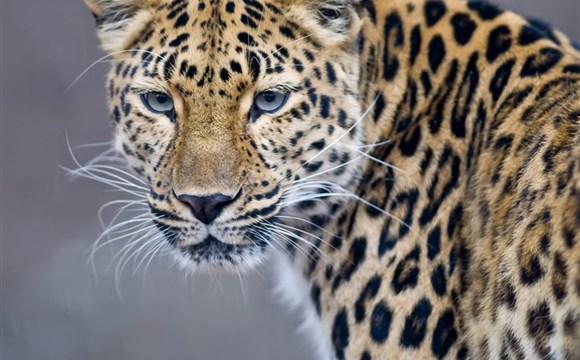 Marco Polo - Tsavo West - národní park - informace