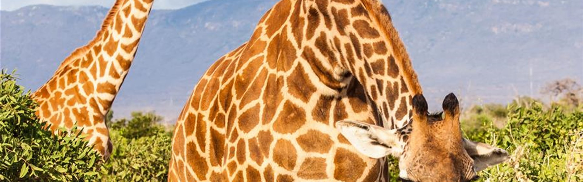 Výlet od moře na safari - NP Tsavo East - 3 dny - 