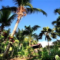 Résidence Habitation Grande Anse - ckmarcopolo.cz