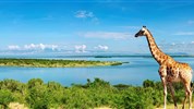 Safari v Ugandě - Cesta za gorilami s českým průvodcem