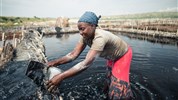 Safari v Ugandě - Cesta za gorilami s českým průvodcem - Uganda-Queen-Elizabeth