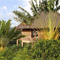 Neptune Ngorongoro Luxury Lodge (5*) - ckmarcopolo.cz