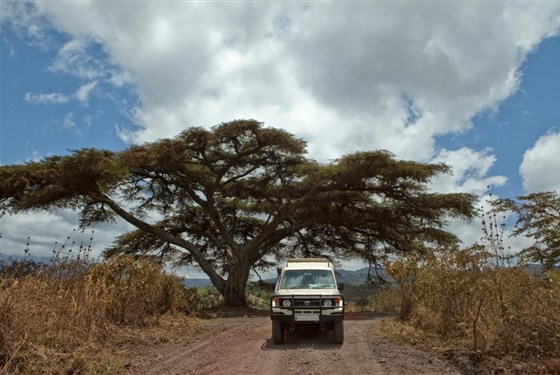 Marco Polo - Neptune Ngorongoro Luxury Lodge (5*) - Tanzanie_Ngorongoro Neptune Lodge_vylety