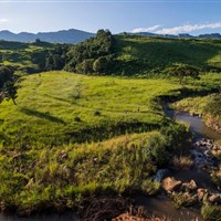 Alpine Heath - ckmarcopolo.cz