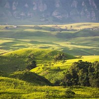 Alpine Heath - ckmarcopolo.cz