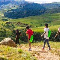 Alpine Heath - ckmarcopolo.cz