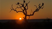 Kapské Město a safari v Krugerově parku s českým průvodcem - Jihoafricka_Mpumalanga_Krugerův národní park